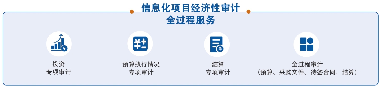 信息化项目经济性审计全过程服务